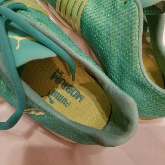 Puma - Picture 3 of 3